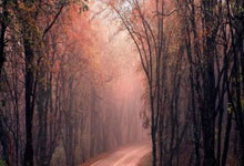 爱游戏:离谱!印度乒乓球赛天降鸟屎 许昕闫安捧腹大笑:张本智和不敢喊了.