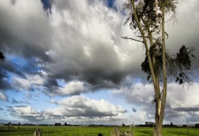 赛程来了!今晚孙颖莎将对战张本美和央视新闻客户端.