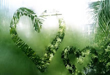 更新战伤病报告 东契奇和詹姆斯大概率出战.