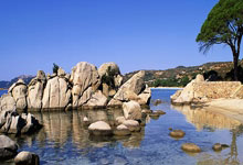 爱游戏:麦卡蒂:恩瓦内里双足的终结能力都很出色,他是世界级的球员.